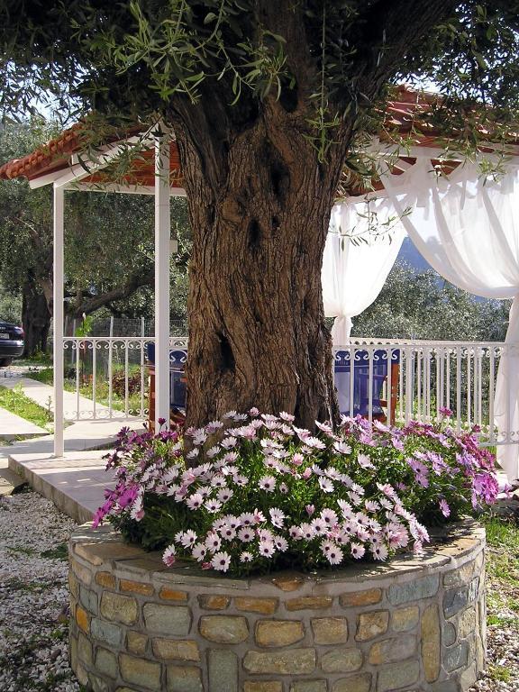 Golden Beach Inn Chrisi Ammoudia Zimmer foto